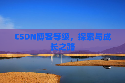 CSDN博客等级，探索与成长之路